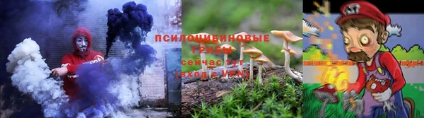 гашик Нягань