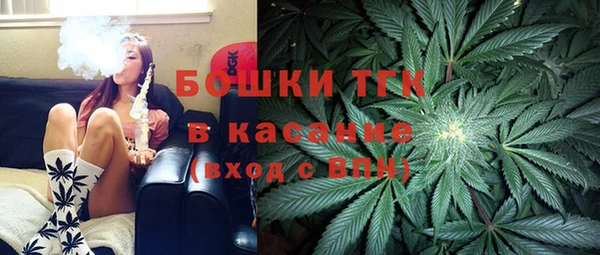 гашик Нягань