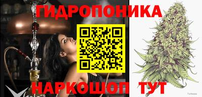 кокс Будённовск