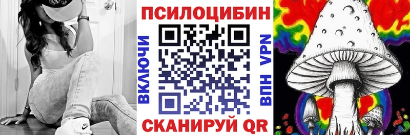 Псилоцибиновые грибы Cubensis  Ейск 