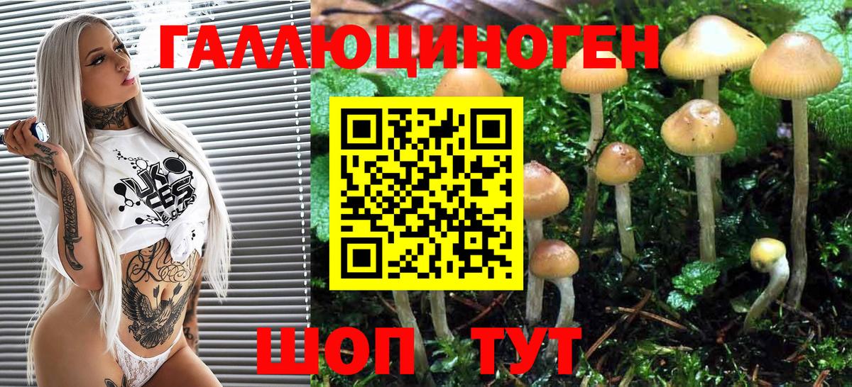 Псилоцибиновые грибы Magic Shrooms  Ейск  Галлюциногенные грибы MAGIC MUSHROOMS 