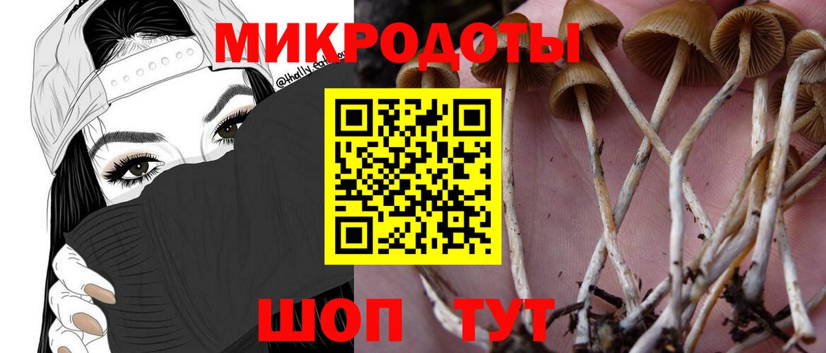 Ейск  Псилоцибиновые грибы GOLDEN TEACHER  купить закладку  Галлюциногенные грибы Psilocybe  Вход с VPN 